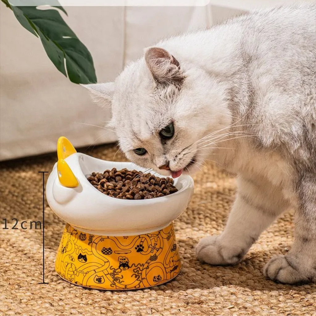 🐾 Plato Cerámica Orejas Tipo Cuchara Para Mascota Perro Gato