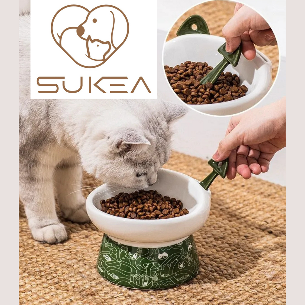 🐾 Plato Cerámica Orejas Tipo Cuchara Para Mascota Perro Gato