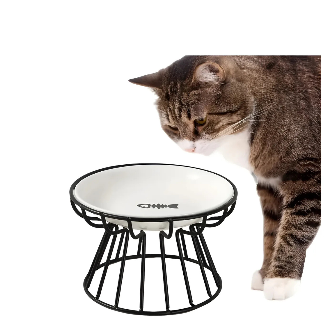 Plato Elevado Ceramica Estilo Europeo Para Perros Y Gatos
