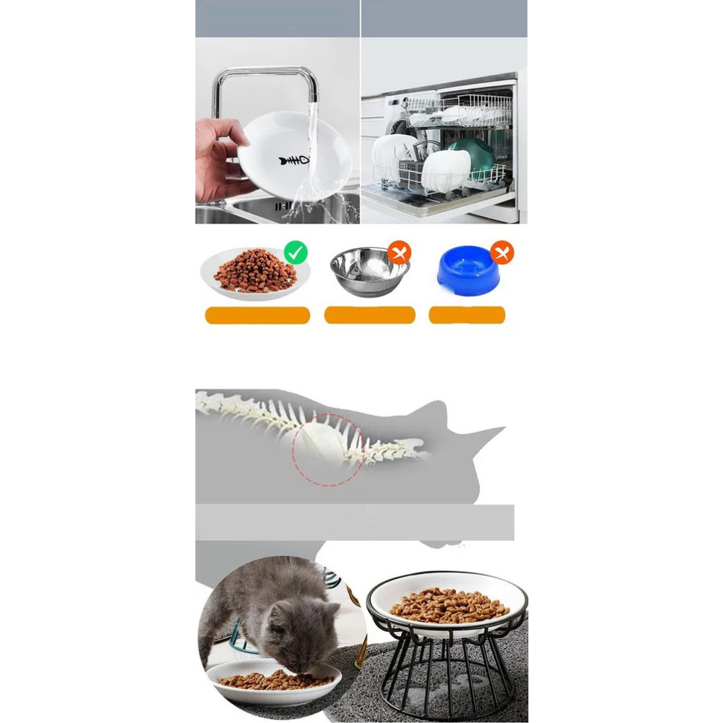 Plato Elevado Ceramica Estilo Europeo Para Perros Y Gatos