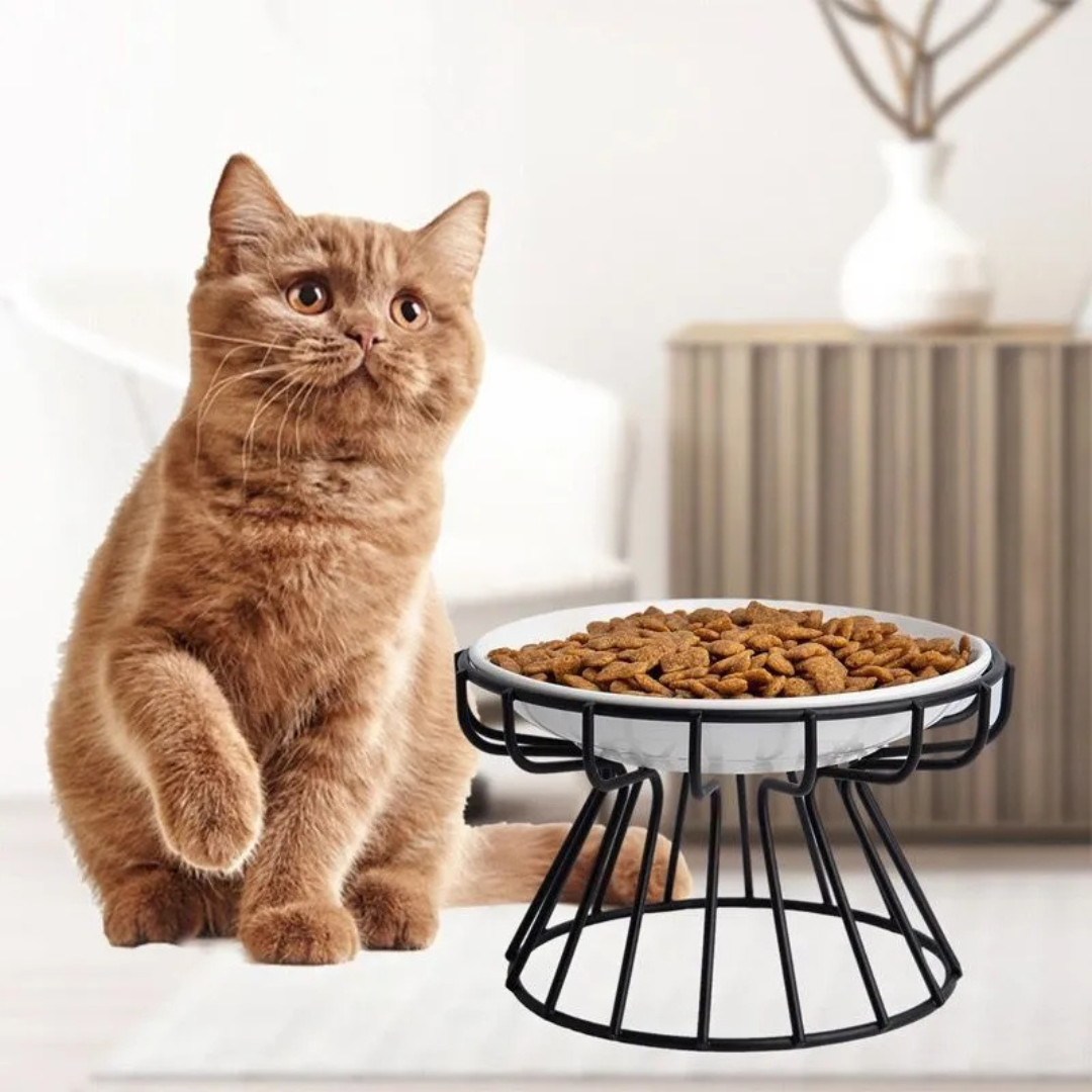 Plato Elevado Ceramica Estilo Europeo Para Perros Y Gatos