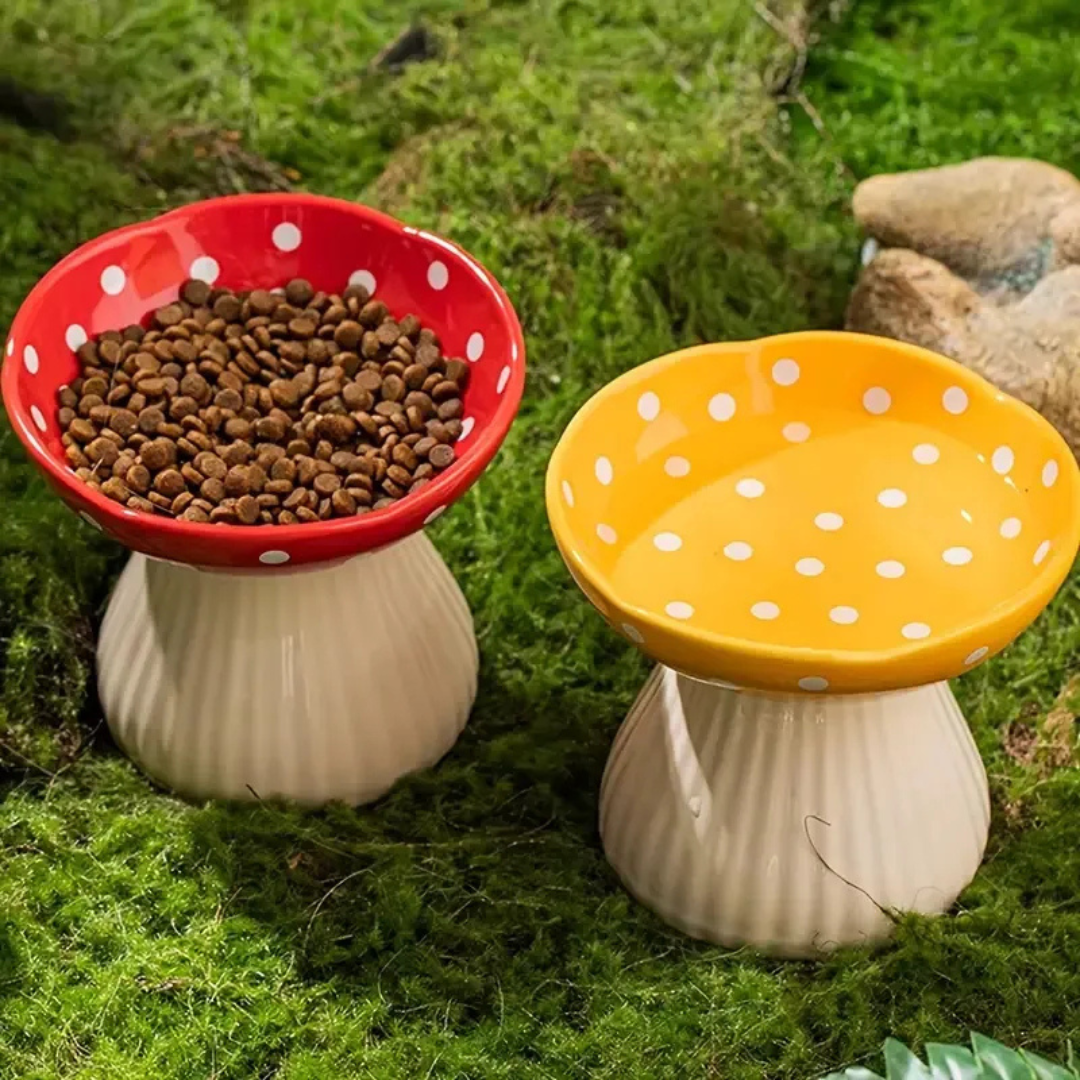 🐾 Plato Elevado Cerámica Estilo Lunares Para Perros y Gatos