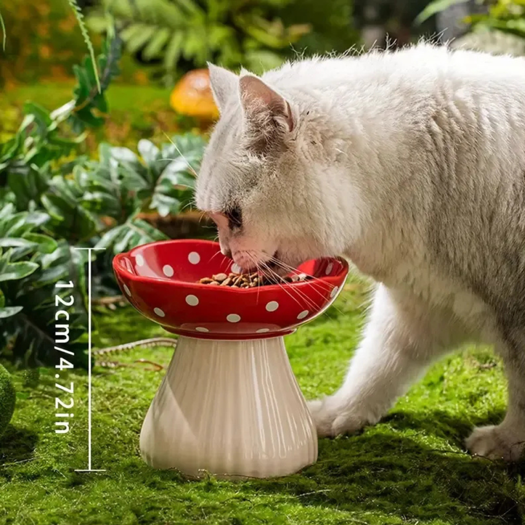 🐾 Plato Elevado Cerámica Estilo Lunares Para Perros y Gatos
