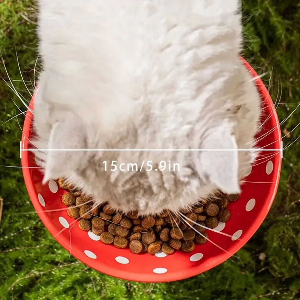🐾 Plato Elevado Cerámica Estilo Lunares Para Perros y Gatos