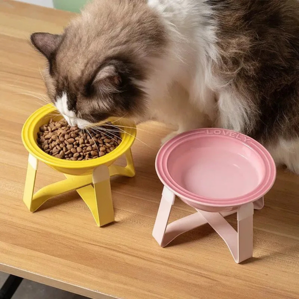 🐾 Plato Cerámica S Elevada Para Mascota Gato Perro Pequeño