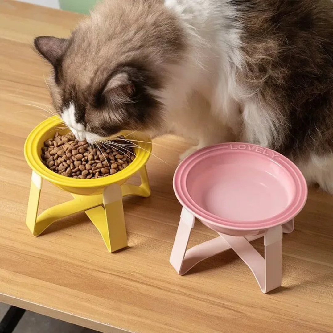 🐾 Plato Cerámica S Elevada Para Mascota Gato Perro Pequeño